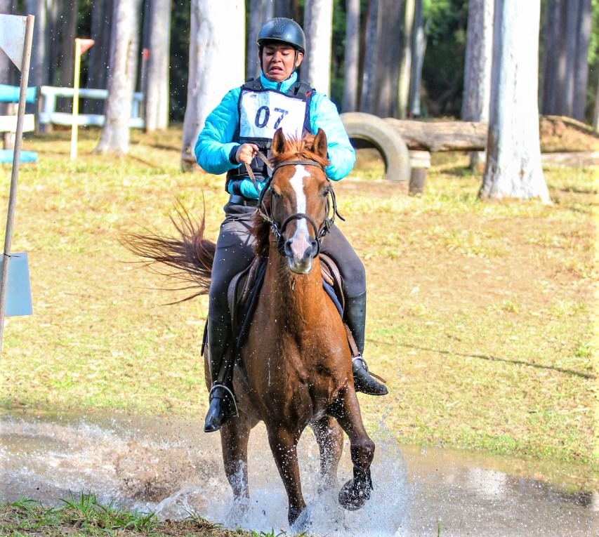 41ª Exposição Nacional do Cavalo Árabe – cavaleiros de Araras apoiados pela VARITUS vão competir com animal premiado e promissor